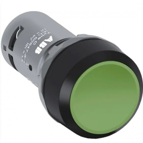 DÜĞME #CP1-10G-01